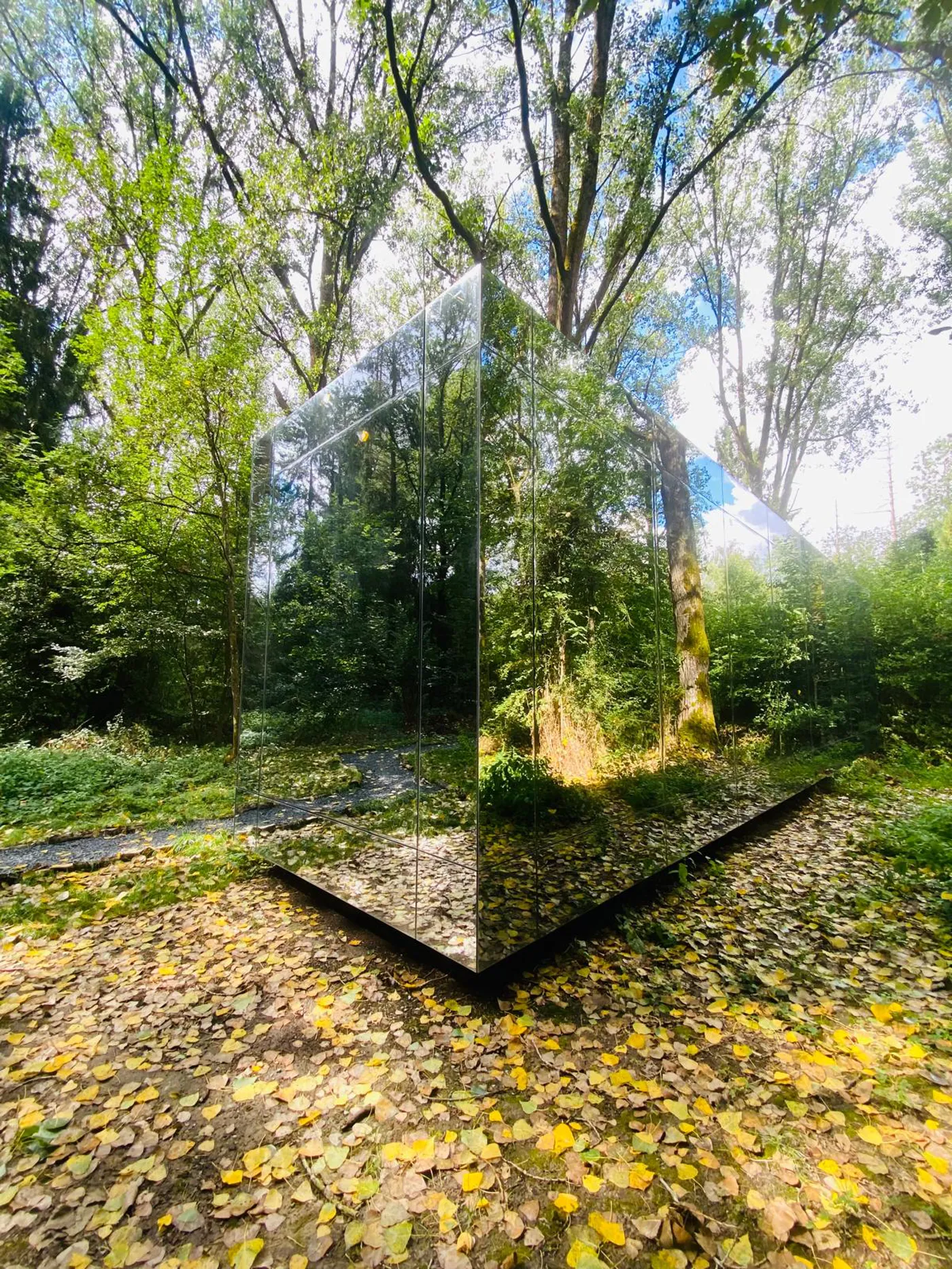 La maison miroir, cube réfléchissant au milieu des feuilles d'automne